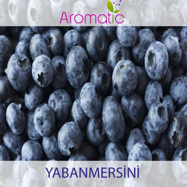 aromatic yabanmersini aromasi